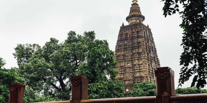 बोधगया बोधि ट्री