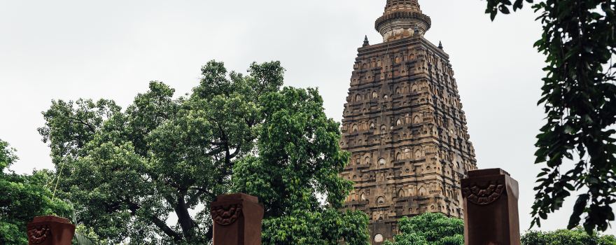 Bodhgaya Bodhi Tree