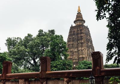 Bodhgaya Bodhi Tree