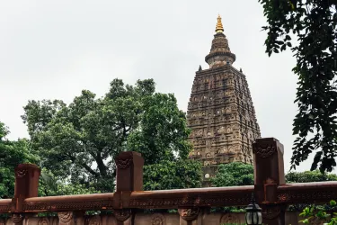 Bodhgaya Bodhi Tree