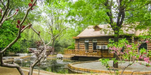 自然公園