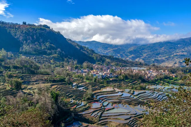 Разрешено размещения с домашними животными Отели в г. Юаньян