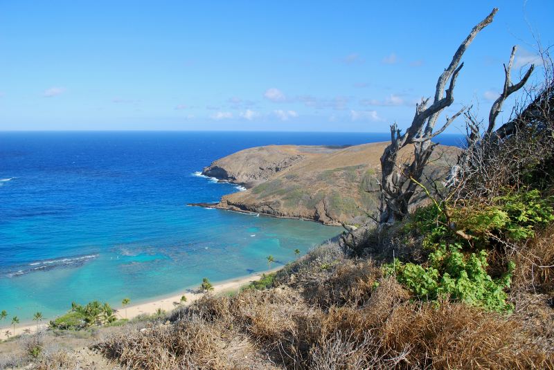 Hanauma Bay Trail