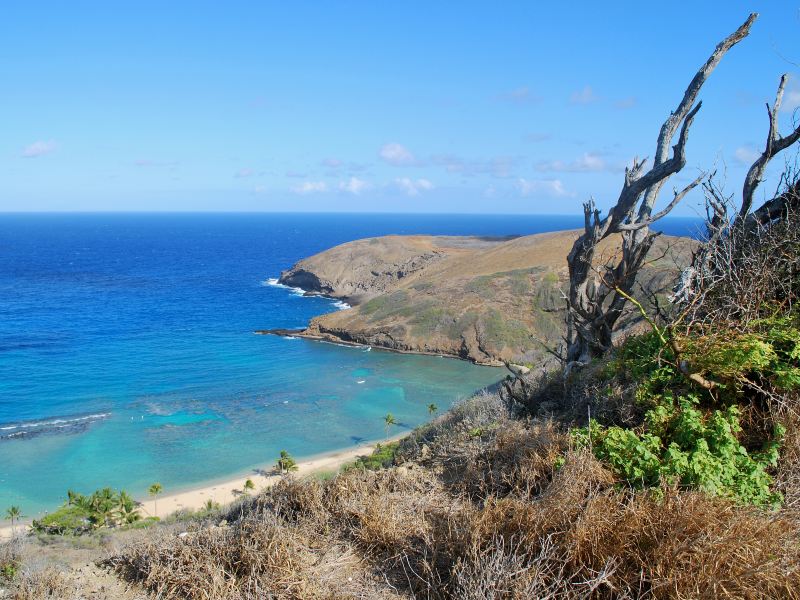 Hanauma Bay Trail