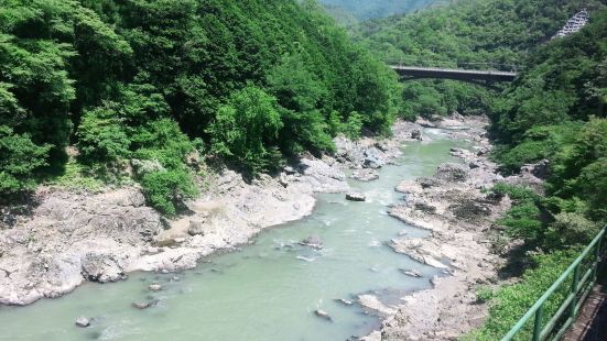 2013年6月8日来的。嵯峨野历史上是日本皇室和贵族度假游玩