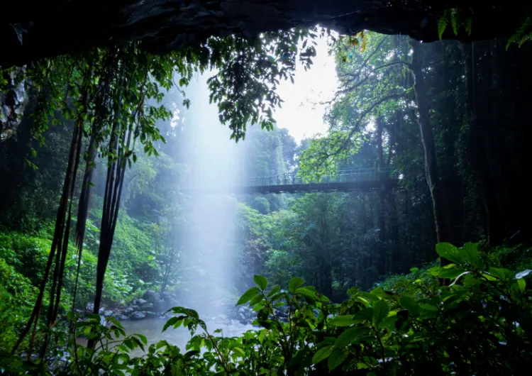 Explore North Coast NSW: Coffs Harbour to Port Macquarie with Photographer Garry Norris