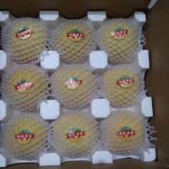 YAN LING HUANG TAO User Photo