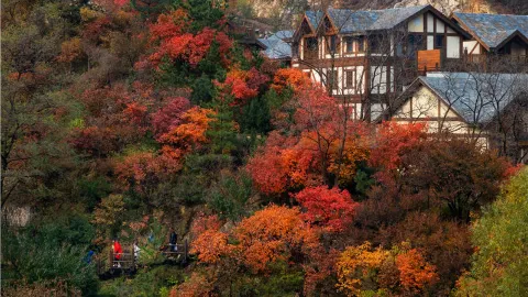 Jiuru Mountain Scenic Area attraction in Jinan
