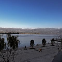 櫻花屋音樂餐吧張用戶圖片