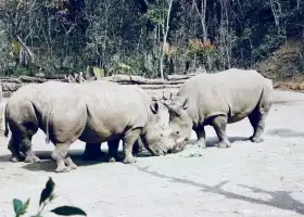 莱陽河国家級森林公園