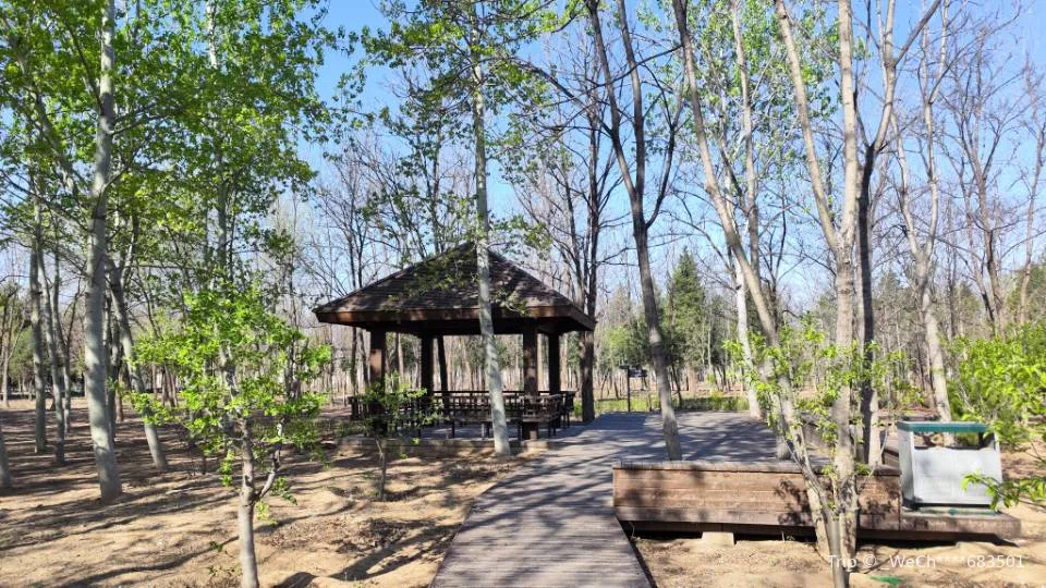 3_Banbidian Forest Park