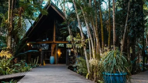 The Cassowary Bar & Restaurant - at Ferntree Rainforest Lodge in Cape Tribulation