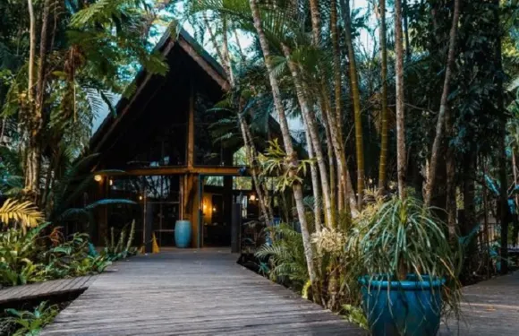 The Cassowary Restaurant