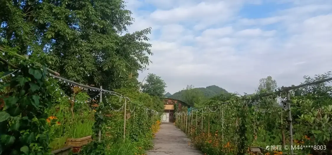 Hotels near Sunshine Bonsai Garden