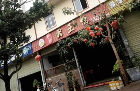 哈尼霸王鴨