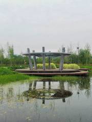 Парк водно-болотных угодий в Лонг-Са