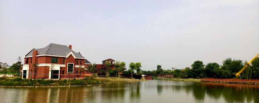 xue ji hua hai