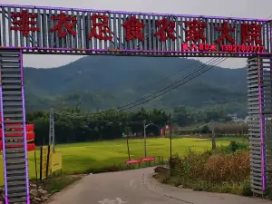 丰衣足食农家大院