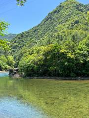 馬頭山原始森林