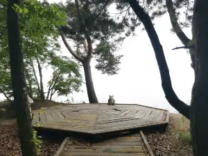 Nongken Dangbi Town Xingkai Lake Scenic Area - Viewing Platform