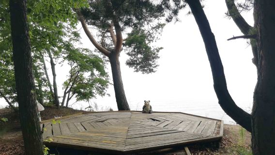 Nongken Dangbi Town Xingkai Lake Scenic Area - Viewing Platform
