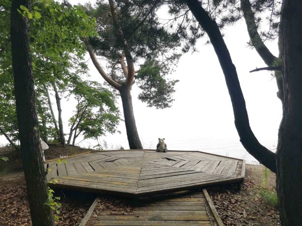 Nongken Dangbi Town Xingkai Lake Scenic Area - Viewing Platform