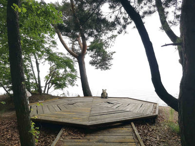 Nongken Dangbi Town Xingkai Lake Scenic Area - Viewing Platform
