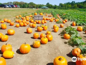 Applecrest Farm Orchards