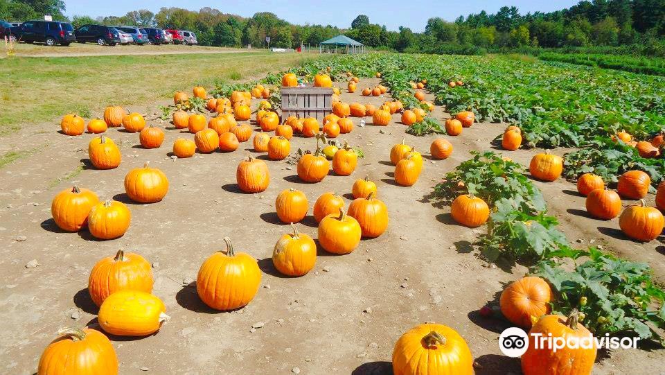Applecrest Farm Orchards