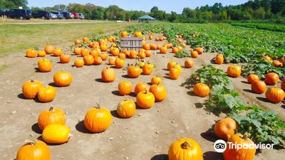 Applecrest Farm Orchards