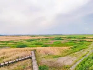 Manas National Wetland Park