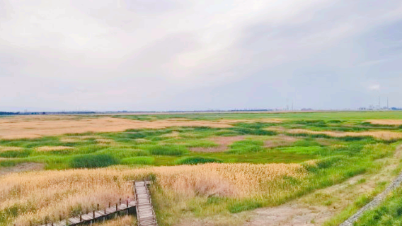 瑪納斯國家濕地公園