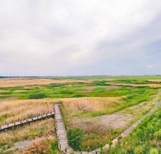 Manas National Wetland Park