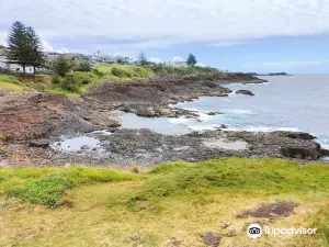 Little Blowhole