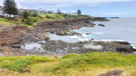 Little Blowhole