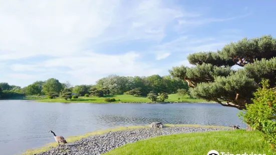 Skokie Lagoons