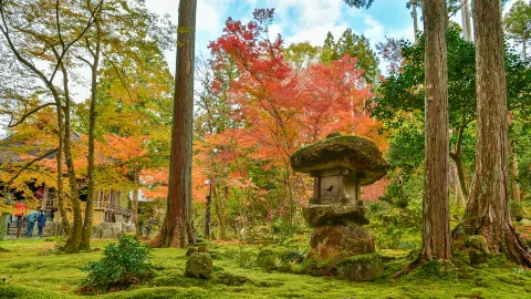 Sanzen-in attraction in Kyoto