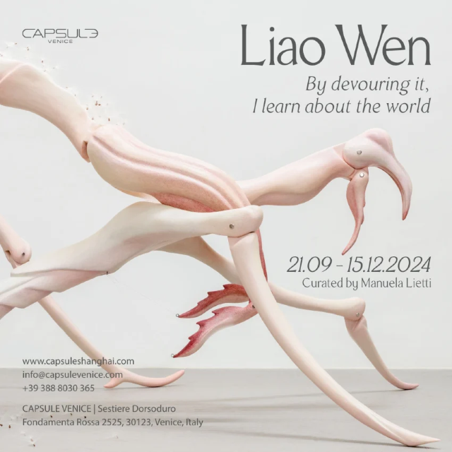 《廖雯：有一天，我發現自己認識世界的方式是生吞》展覽 | 威尼斯