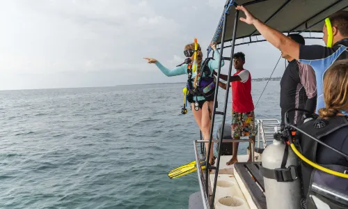 Diving in Sri Lanka