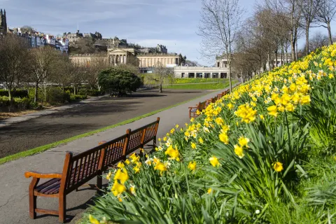 Princes Street Gardens