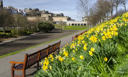 Princes Street Gardens