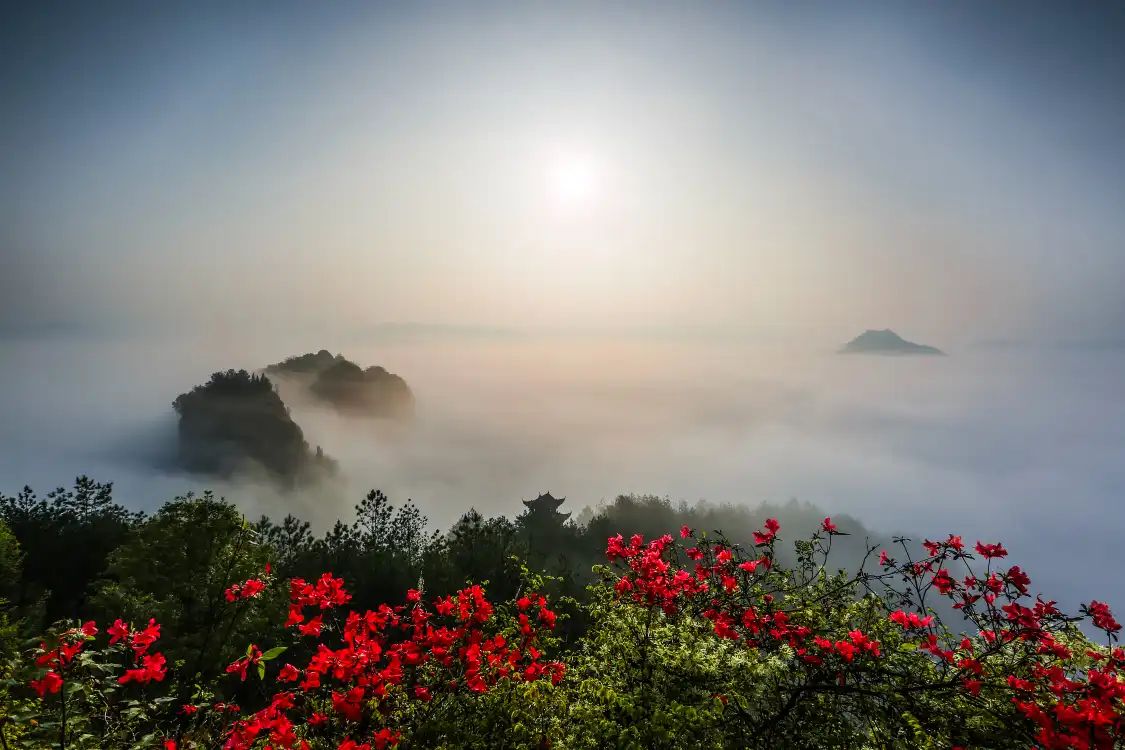 Hotels near East-West Rock Scenic Resort