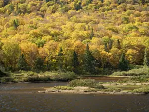 Jacques-Cartier Park