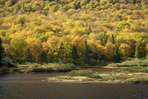 Jacques-Cartier Park