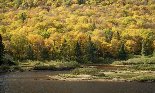 Jacques-Cartier Park