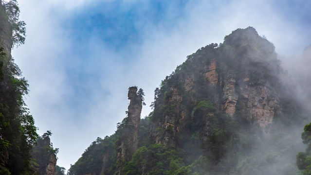 Herb-digger Scenic Spot