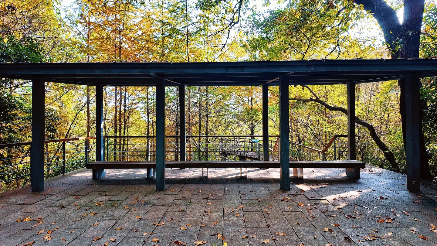 4_西湖風景區-江洋畈生態公園