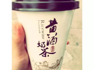 Gaolaotaizhengzongnaiyouxiaopan (xinjiannanlu)