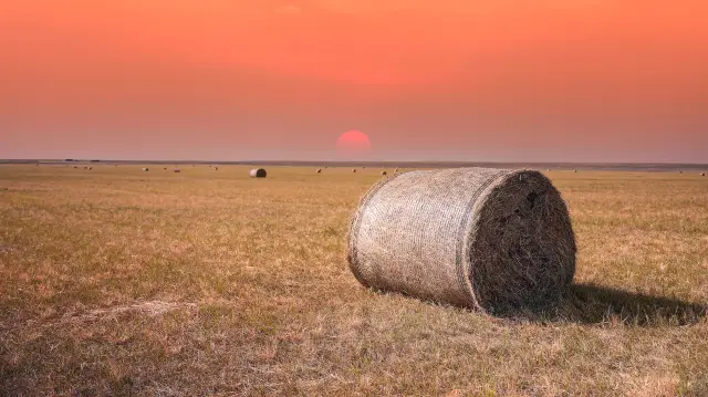Sunset Sightseeing in Hulunbuir