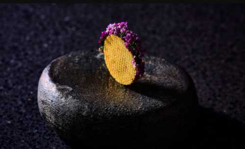 agnel d'or